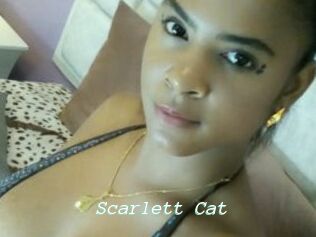 Scarlett_Cat