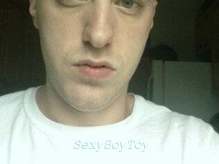 SexyBoyToy