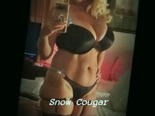 Snow_Cougar