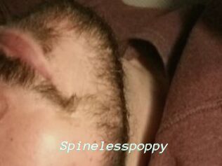 Spinelesspoppy