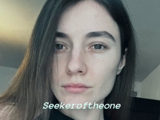 Seekeroftheone