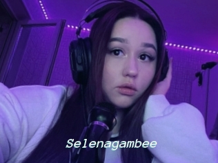 Selenagambee