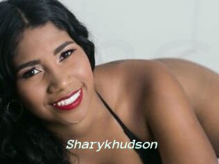 Sharykhudson