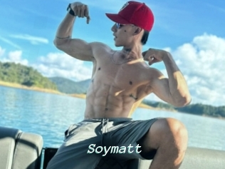 Soymatt