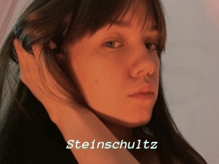 Steinschultz