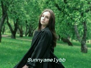 Sunnyamelybb