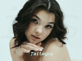 Taiteguy