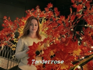 Tanderrose