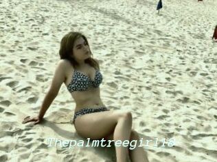 Thepalmtreegirl18