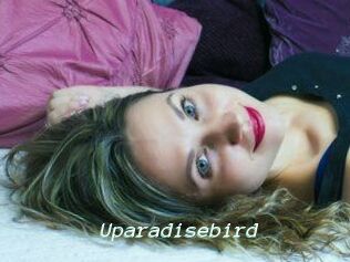 Uparadisebird