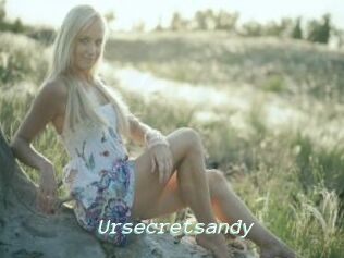 Ursecretsandy