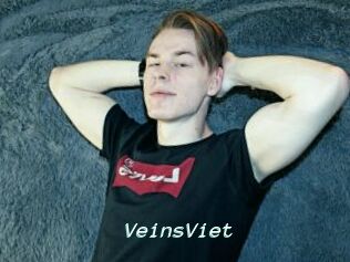 VeinsViet