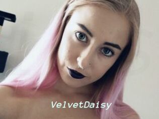 VelvetDaisy