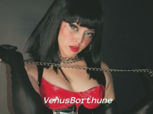 VenusBorthune