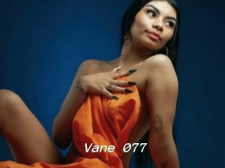 Vane_077