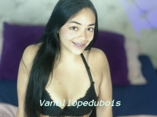 Vanellopedubois