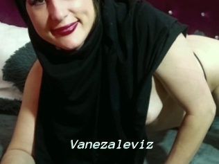 Vanezaleviz