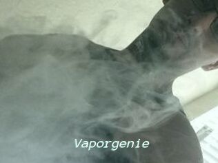 Vapor_genie