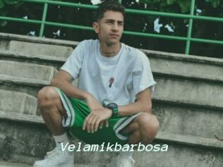 Velamikbarbosa