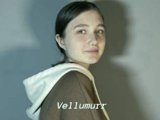 Vellumurr