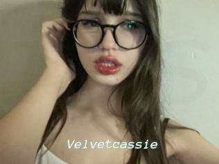 Velvetcassie