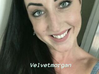 Velvetmorgan