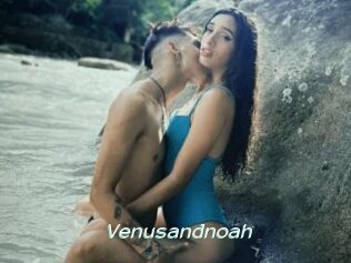 Venusandnoah