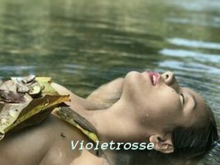 Violetrosse