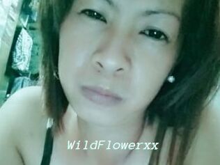 WildFlowerxx