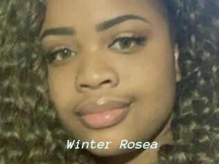 Winter_Rosea