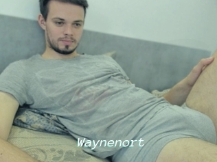 Waynenort