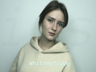 Whitneyfigge