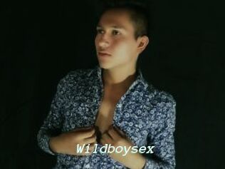 Wildboysex