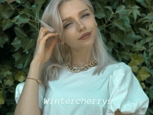 Wintercherrys