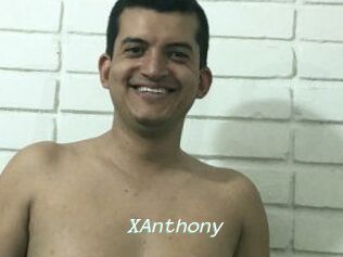 XAnthony