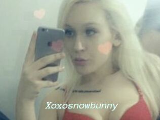 Xoxosnowbunny