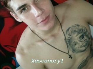 Xescanory1