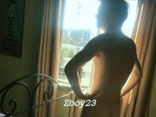 Zboy23