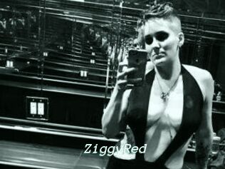 ZiggyRed